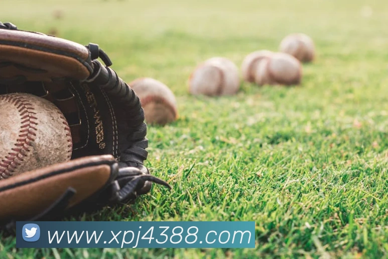 xpj全站App xpj全站App